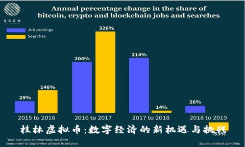 桂林虚拟币：数字经济的新机遇与挑战