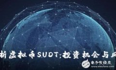 深入解析虚拟币SUDT：投资