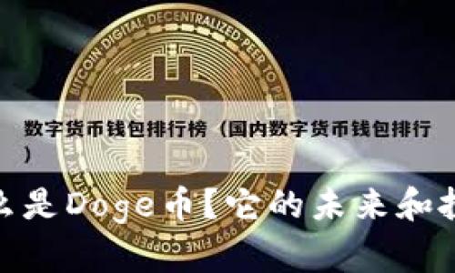 全面解析：什么是Doge币？它的未来和投资价值如何？