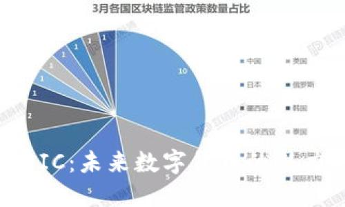 全解虚拟币BIC：未来数字货币的潜力与投资策略