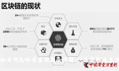 虚拟币钱包哈希查询指令详解：快速获取交易信息