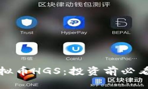 全面解析虚拟币HGS：投资前必看的实用指南