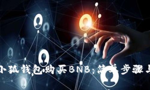 如何通过小狐钱包购买BNB：简单步骤与注意事项