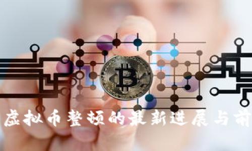 金融委虚拟币整顿的最新进展与前景分析