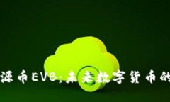深入了解能源币EVB：未来