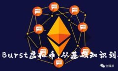 全面解析Burst虚拟币：从基