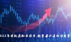 2023年顶级虚拟币项目：投