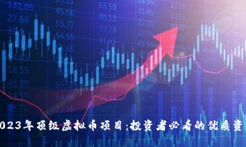 2023年顶级虚拟币项目：投资者必看的优质资产
