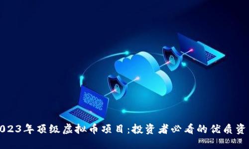 2023年顶级虚拟币项目：投资者必看的优质资产