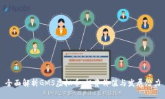 全面解析GMS虚拟币：投资