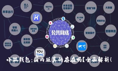 小狐钱包：国内版真的存在吗？全面解析！