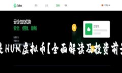什么是HUM虚拟币？全面解
