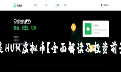 什么是HUM虚拟币？全面解读及投资前景分析