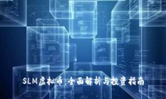 SLM虚拟币：全面解析与投