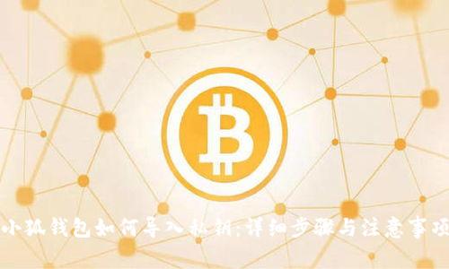 小狐钱包如何导入私钥：详细步骤与注意事项