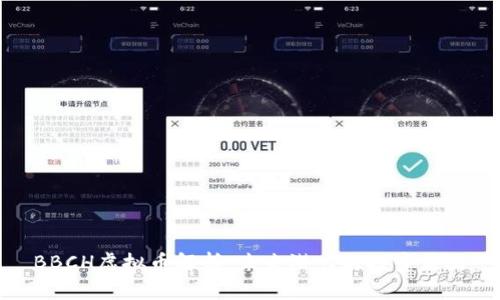 BBCH虚拟币解析：未来潜力与投资策略