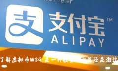 了解虚拟币WSG：是一种投