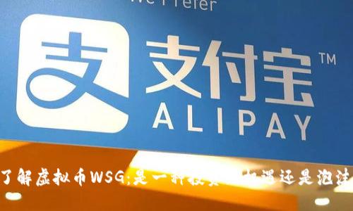了解虚拟币WSG：是一种投资新机遇还是泡沫？