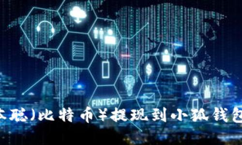 如何将中本聪（比特币）提现到小狐钱包：详细指南