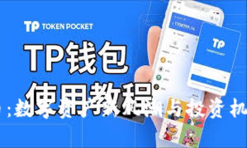 星球虚拟币：数字资产新风潮与投资机会全面解析
