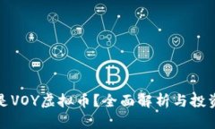 什么是VOY虚拟币？全面解析与投资前景