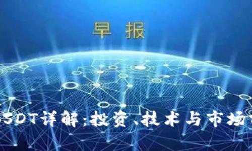 虚拟币BSDT详解：投资、技术与市场前景分析