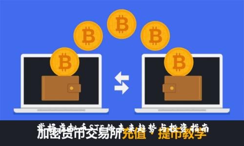 掌握虚拟币STE的未来趋势与投资指南