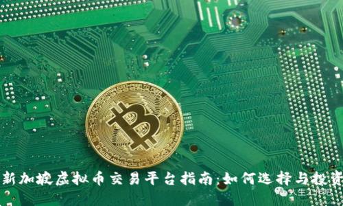新加坡虚拟币交易平台指南：如何选择与投资