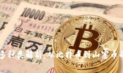 虚拟币的多种类解析：从比特币到山寨币的全面概览