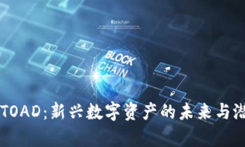 虚拟币TOAD：新兴数字资产的未来与潜力解析
