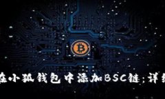 如何在小狐钱包中添加BSC链：详细指南